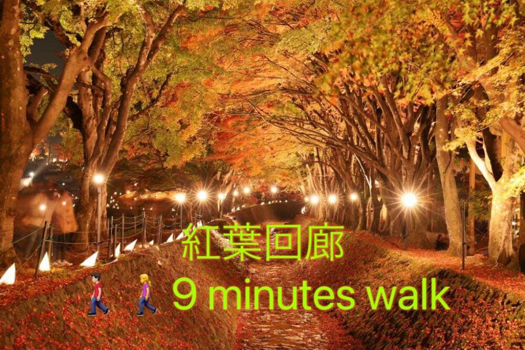 פוג'יקאוואגוצ'יקו View Of Mt Fuji Free Transportation Bicycle Rental Ok 富士山眺望 מראה חיצוני תמונה
